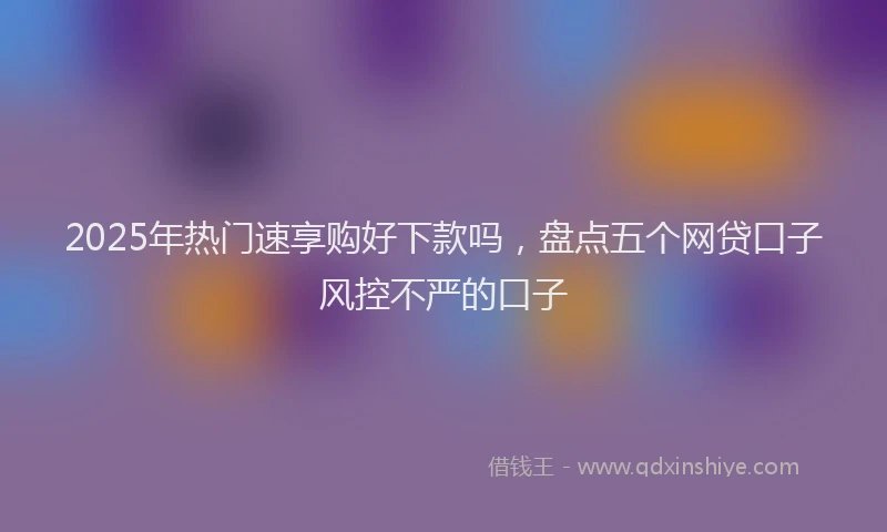 2025年热门速享购好下款吗，盘点五个网贷口子风控不严的口子