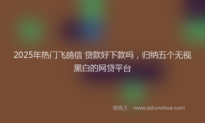 2025年热门飞鸽信 贷款好下款吗，归纳五个无视黑白的网贷平台