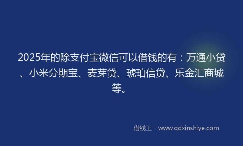 2025年的除支付宝微信可以借钱的有：万通小贷、小米分期宝、麦芽贷、琥珀信贷、乐金汇商城等。
