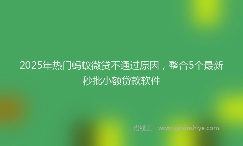 2025年热门蚂蚁微贷不通过原因，整合5个最新秒批小额贷款软件