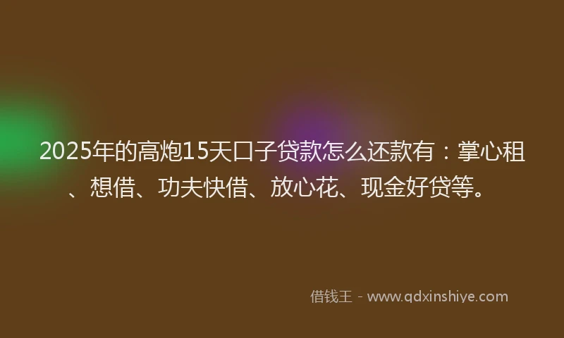 2025年的高炮15天口子贷款怎么还款有:掌心租、想借、功夫快借、放心花、现金好贷等。