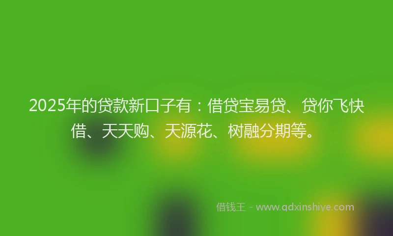 2025年的贷款新口子有:借贷宝易贷、贷你飞快借、天天购、天源花、树融分期等。