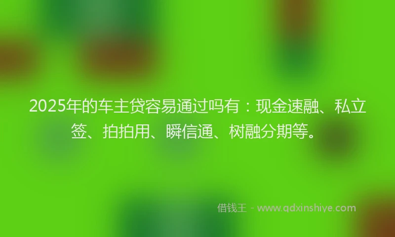 2025年的车主贷容易通过吗有:现金速融、私立签、拍拍用、瞬信通、树融分期等。