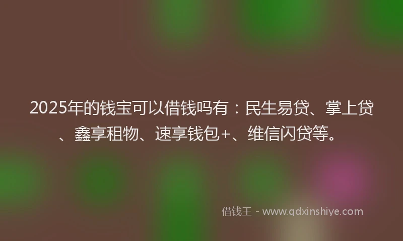 2025年的钱宝可以借钱吗有：民生易贷、掌上贷、鑫享租物、速享钱包+、维信闪贷等。