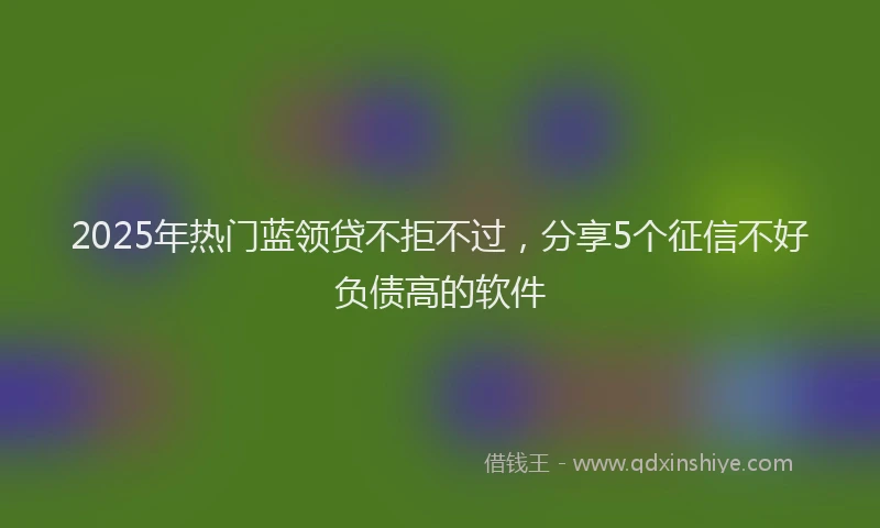 2025年热门蓝领贷不拒不过，分享5个征信不好负债高的软件