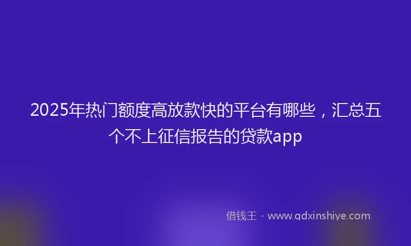 2025年热门额度高放款快的平台有哪些，汇总五个不上征信报告的贷款app