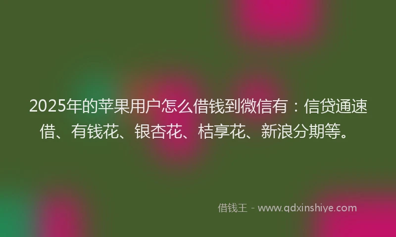 2025年的苹果用户怎么借钱到微信有：信贷通速借、有钱花、银杏花、桔享花、新浪分期等。