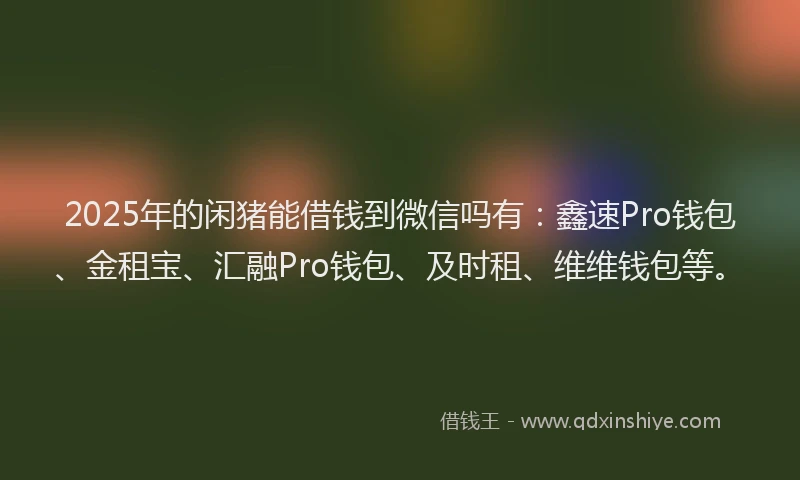 2025年的闲猪能借钱到微信吗有:鑫速Pro钱包、金租宝、汇融Pro钱包、及时租、维维钱包等。