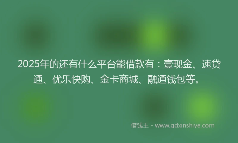 2025年的还有什么平台能借款有：壹现金、速贷通、优乐快购、金卡商城、融通钱包等。