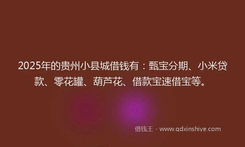 2025年的贵州小县城借钱有:甄宝分期、小米贷款、零花罐、葫芦花、借款宝速借宝等。
