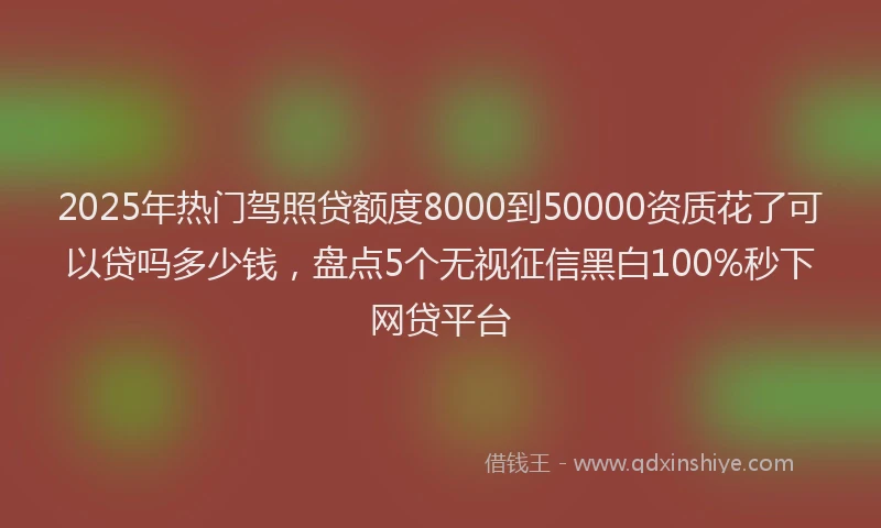 2025年热门驾照贷额度8000到50000资质花了可以贷吗多少钱，盘点5个无视征信黑白100%秒下网贷平台