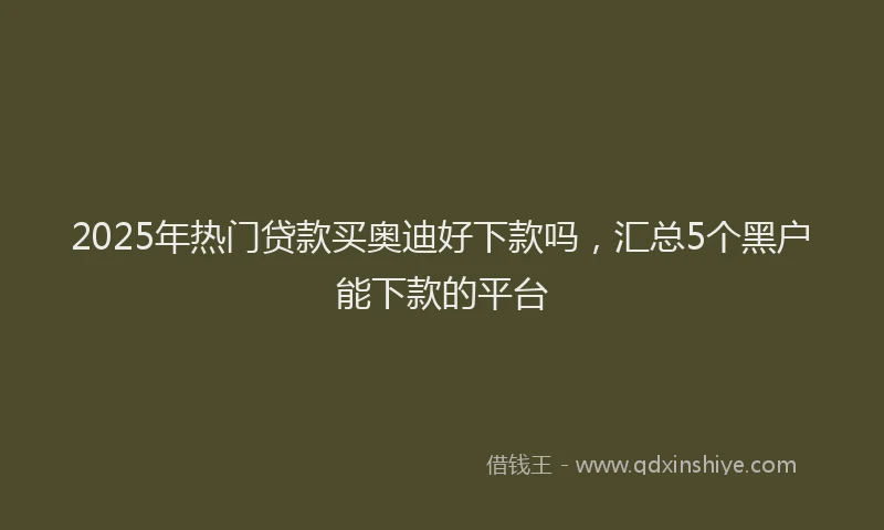 2025年热门贷款买奥迪好下款吗，汇总5个黑户能下款的平台