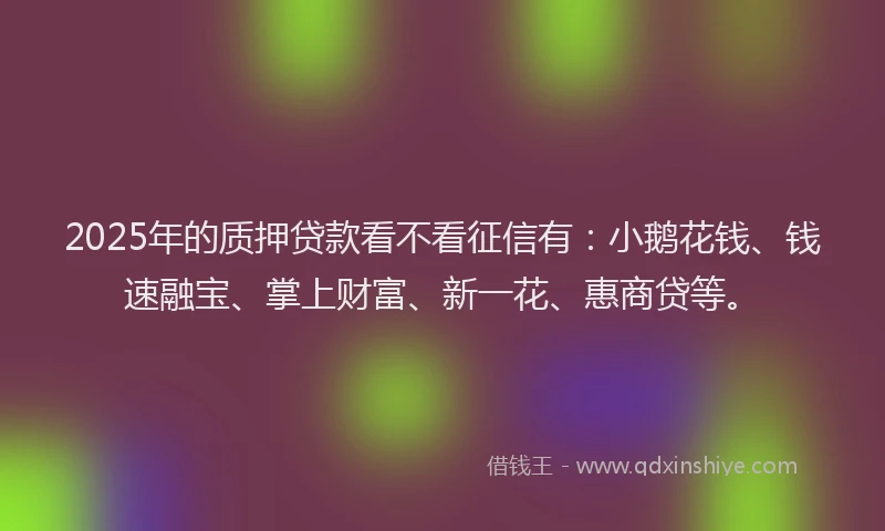 2025年的质押贷款看不看征信有：小鹅花钱、钱速融宝、掌上财富、新一花、惠商贷等。