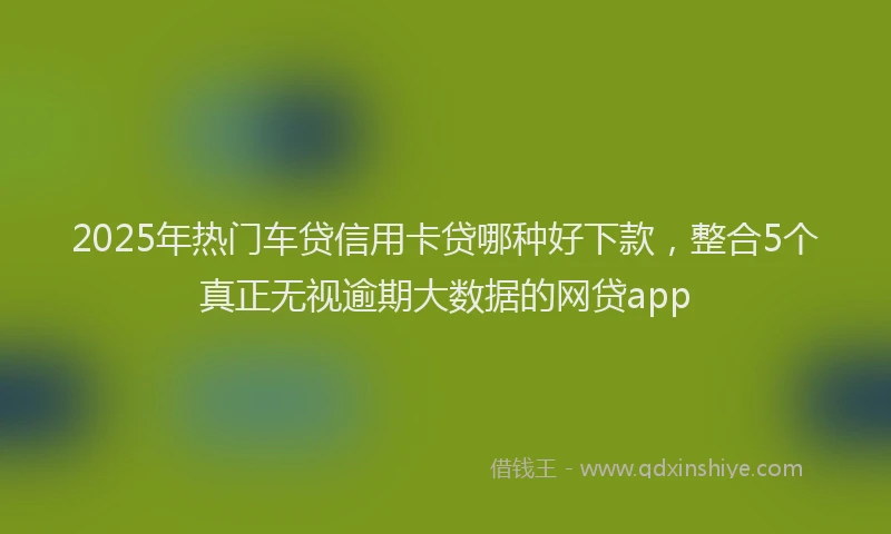 2025年热门车贷信用卡贷哪种好下款，整合5个真正无视逾期大数据的网贷app