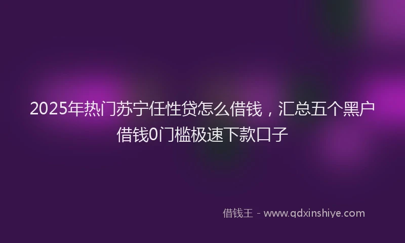 2025年热门苏宁任性贷怎么借钱,汇总五个黑户借钱0门槛极速下款口子