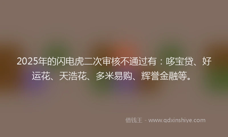2025年的闪电虎二次审核不通过有：哆宝贷、好运花、天浩花、多米易购、辉誉金融等。