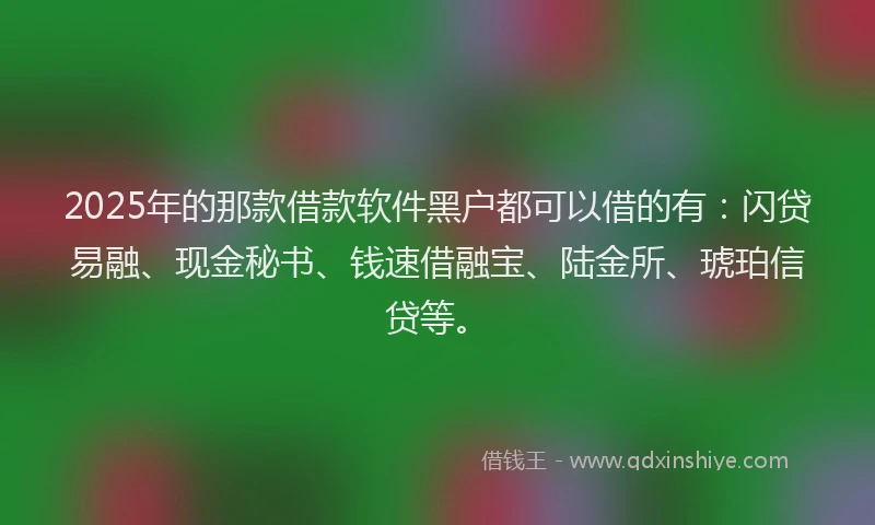 2025年的那款借款软件黑户都可以借的有:闪贷易融、现金秘书、钱速借融宝、陆金所、琥珀信贷等。