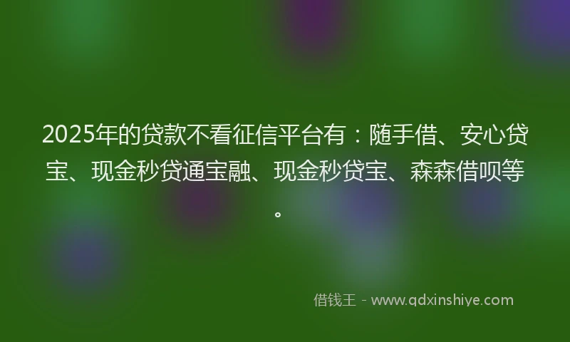 2025年的贷款不看征信平台有:随手借、安心贷宝、现金秒贷通宝融、现金秒贷宝、森森借呗等。