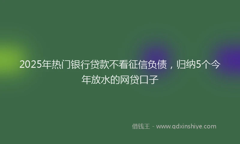 2025年热门银行贷款不看征信负债，归纳5个今年放水的网贷口子