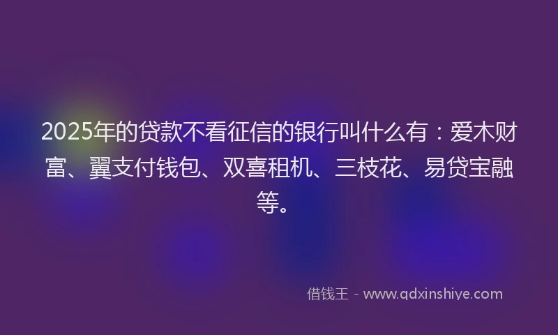 2025年的贷款不看征信的银行叫什么有:爱木财富、翼支付钱包、双喜租机、三枝花、易贷宝融等。
