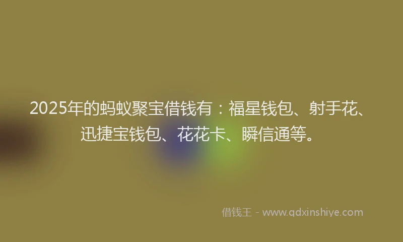 2025年的蚂蚁聚宝借钱有：福星钱包、射手花、迅捷宝钱包、花花卡、瞬信通等。