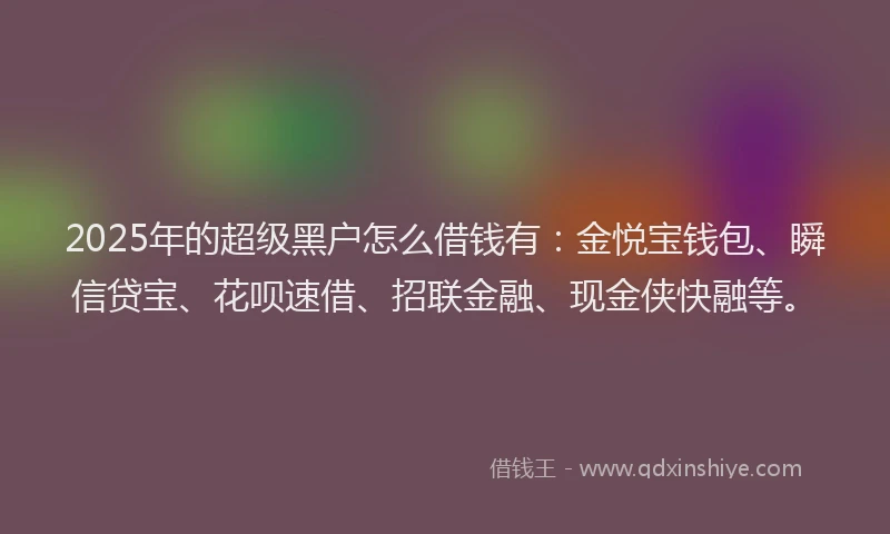 2025年的超级黑户怎么借钱有:金悦宝钱包、瞬信贷宝、花呗速借、招联金融、现金侠快融等。