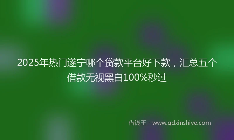 2025年热门遂宁哪个贷款平台好下款,汇总五个借款无视黑白100%秒过
