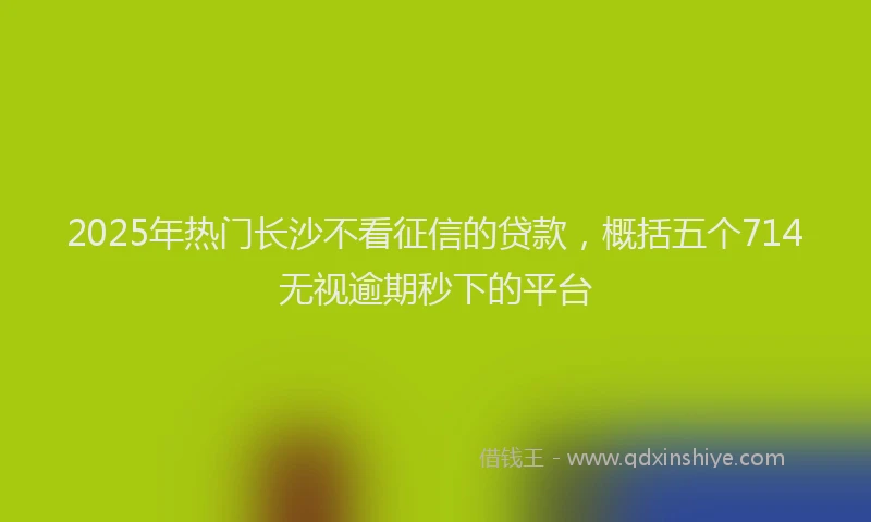 2025年热门长沙不看征信的贷款,概括五个714无视逾期秒下的平台