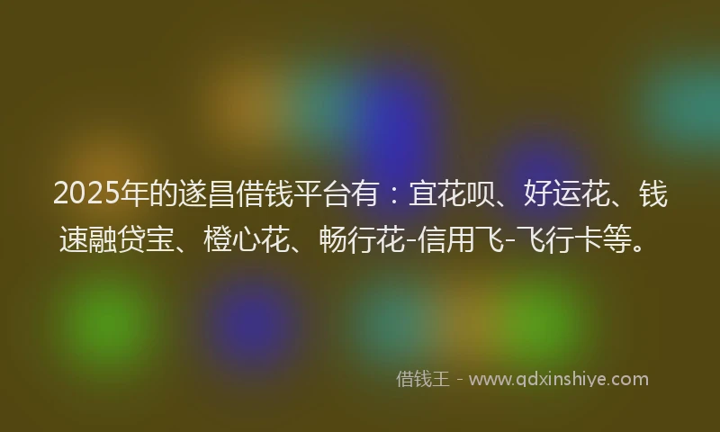 2025年的遂昌借钱平台有:宜花呗、好运花、钱速融贷宝、橙心花、畅行花-信用飞-飞行卡等。
