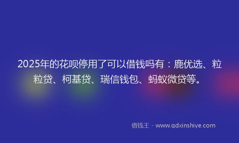 2025年的花呗停用了可以借钱吗有：鹿优选、粒粒贷、柯基贷、瑞信钱包、蚂蚁微贷等。