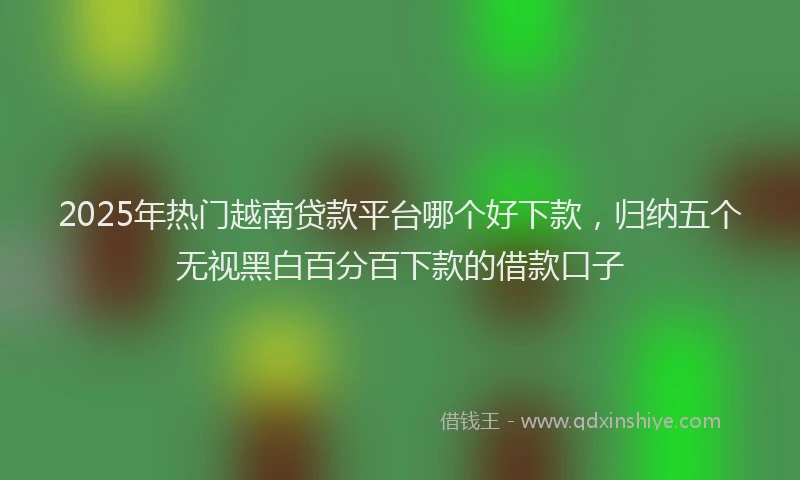 2025年热门越南贷款平台哪个好下款，归纳五个无视黑白百分百下款的借款口子