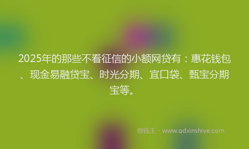 2025年的那些不看征信的小额网贷有：惠花钱包、现金易融贷宝、时光分期、宜口袋、甄宝分期宝等。