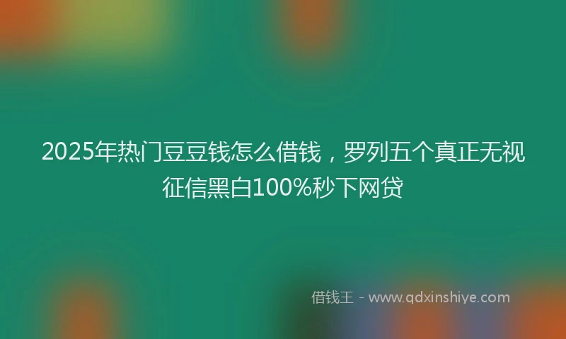 2025年热门豆豆钱怎么借钱，罗列五个真正无视征信黑白100%秒下网贷