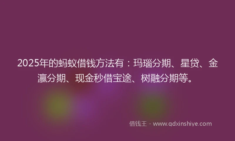 2025年的蚂蚁借钱方法有：玛瑙分期、星贷、金瀛分期、现金秒借宝途、树融分期等。