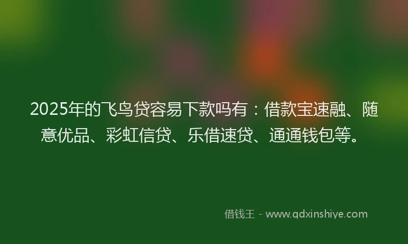 2025年的飞鸟贷容易下款吗有：借款宝速融、随意优品、彩虹信贷、乐借速贷、通通钱包等。