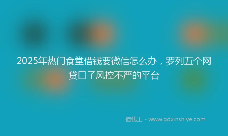 2025年热门食堂借钱要微信怎么办，罗列五个网贷口子风控不严的平台