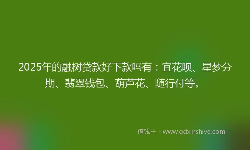 2025年的融树贷款好下款吗有：宜花呗、星梦分期、翡翠钱包、葫芦花、随行付等。