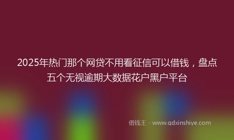 2025年热门那个网贷不用看征信可以借钱,盘点五个无视逾期大数据花户黑户平台