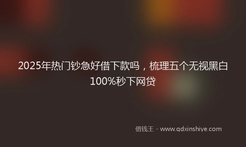 2025年热门钞急好借下款吗,梳理五个无视黑白100%秒下网贷