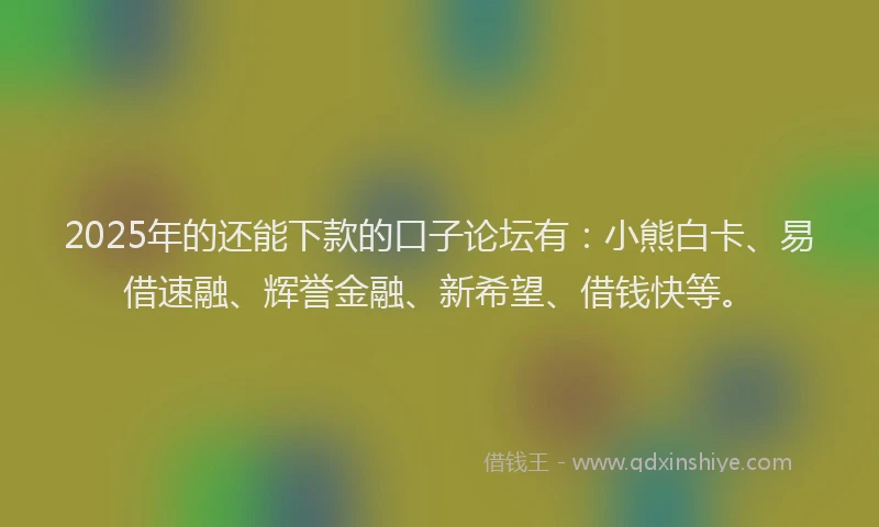 2025年的还能下款的口子论坛有：小熊白卡、易借速融、辉誉金融、新希望、借钱快等。