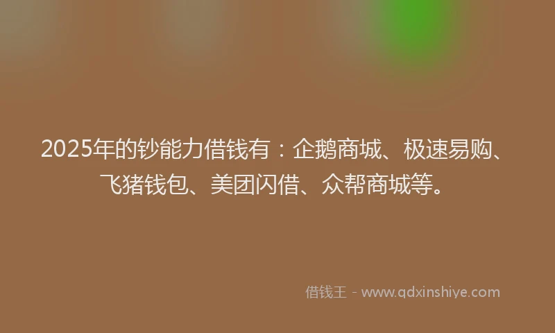 2025年的钞能力借钱有：企鹅商城、极速易购、飞猪钱包、美团闪借、众帮商城等。