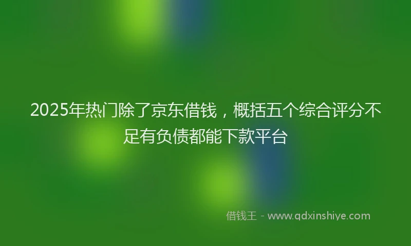 2025年热门除了京东借钱，概括五个综合评分不足有负债都能下款平台