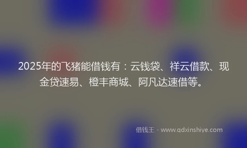 2025年的飞猪能借钱有：云钱袋、祥云借款、现金贷速易、橙丰商城、阿凡达速借等。