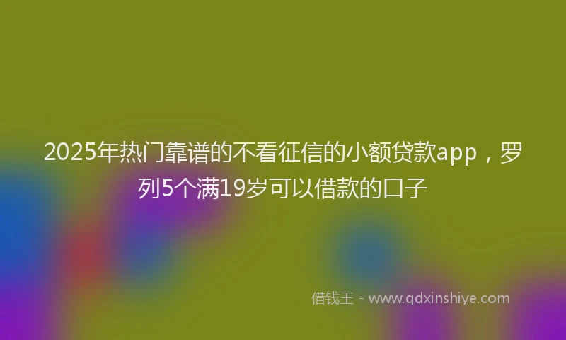 2025年热门靠谱的不看征信的小额贷款app，罗列5个满19岁可以借款的口子