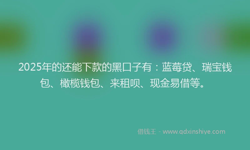 2025年的还能下款的黑口子有：蓝莓贷、瑞宝钱包、橄榄钱包、来租呗、现金易借等。