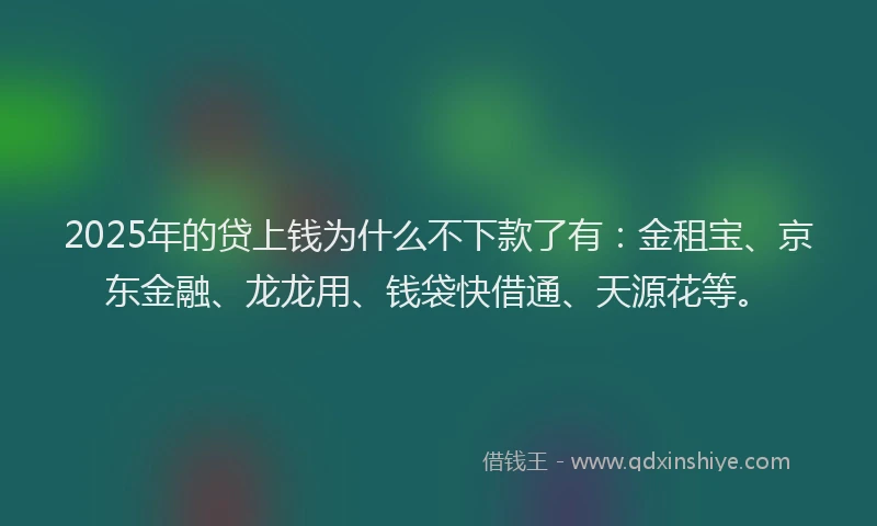 2025年的贷上钱为什么不下款了有:金租宝、京东金融、龙龙用、钱袋快借通、天源花等。