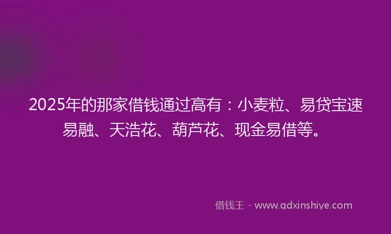 2025年的那家借钱通过高有:小麦粒、易贷宝速易融、天浩花、葫芦花、现金易借等。