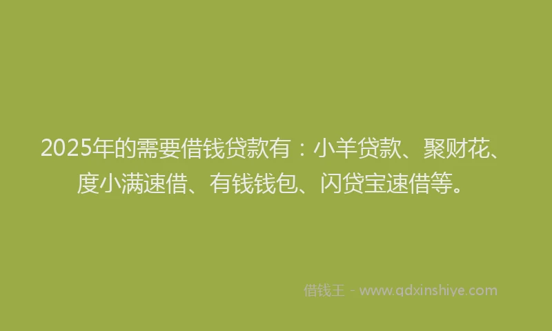 2025年的需要借钱贷款有:小羊贷款、聚财花、度小满速借、有钱钱包、闪贷宝速借等。