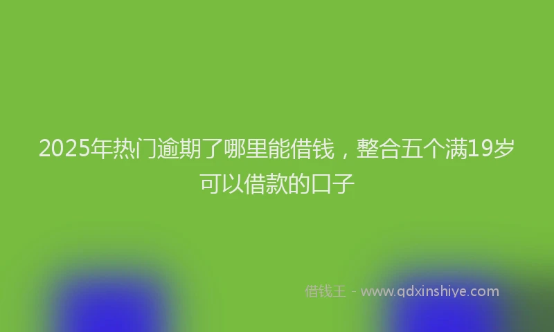 2025年热门逾期了哪里能借钱,整合五个满19岁可以借款的口子