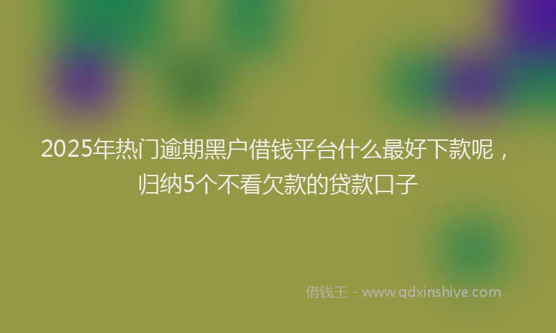2025年热门逾期黑户借钱平台什么最好下款呢，归纳5个不看欠款的贷款口子